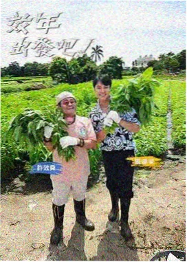 真人秀在线免费观看